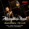 About Akkarayikkara Ninnal Song